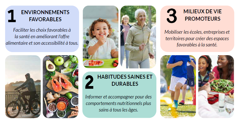 1 - les environnements favorables
2 -les habitudes saines et durables
3 - milieux de vie promoteurs (écoles, entreprises, territoires)