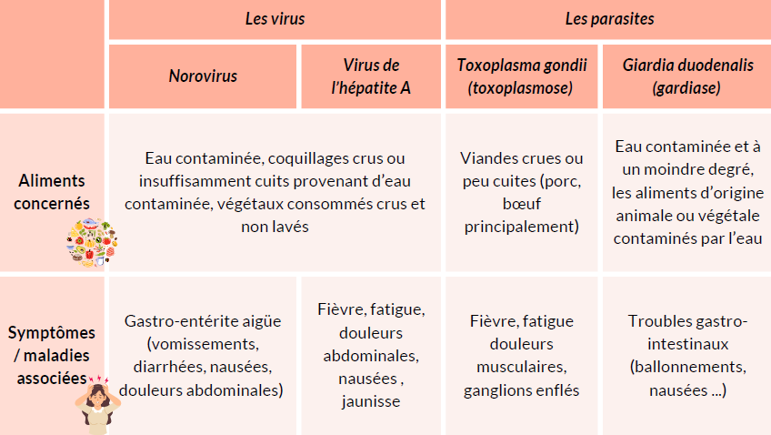 Les virus Les parasites
Norovirus
Virus de
l’hépatite A
Toxoplasma gondii
(toxoplasmose)
Giardia duodenalis
(gardiase)
Aliments
concernés
Eau contaminée, coquillages crus ou
insuffisamment cuits provenant d’eau
contaminée, végétaux consommés crus et
non lavés
Viandes crues ou
peu cuites (porc,
boeuf
principalement)
Eau contaminée et à
un moindre degré,
les aliments d’origine
animale ou végétale
contaminés par l’eau
Symptômes
/ maladies
associées
Gastro-entérite aigüe
(vomissements,
diarrhées, nausées,
douleurs abdominales)
Fièvre, fatigue,
douleurs
abdominales,
nausées ,
jaunisse
Fièvre, fatigue
douleurs
musculaires,
ganglions enflés
Troubles gastrointestinaux
(ballonnements,
nausées ...)